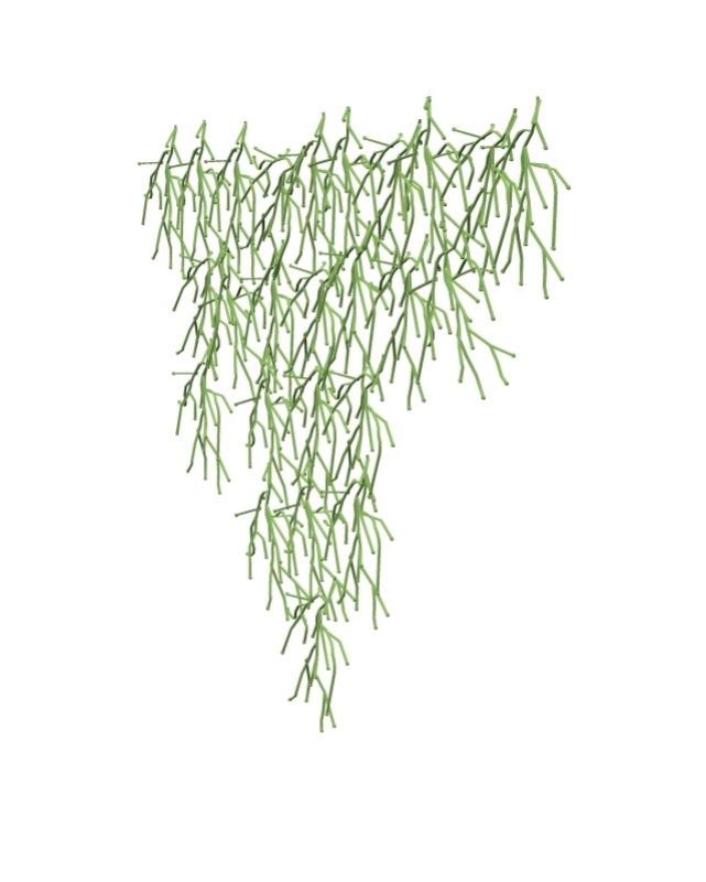 Algue Partition /Algae decorative elements Vitra